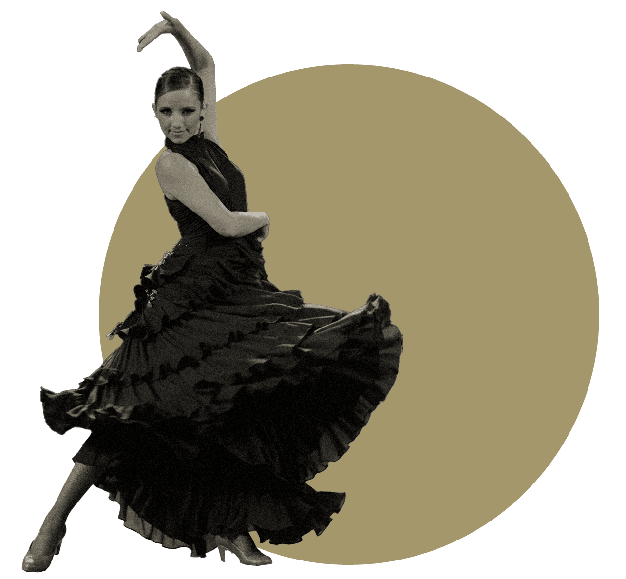 V3 Triana prototipo web